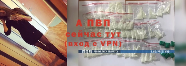 хмурый Козельск