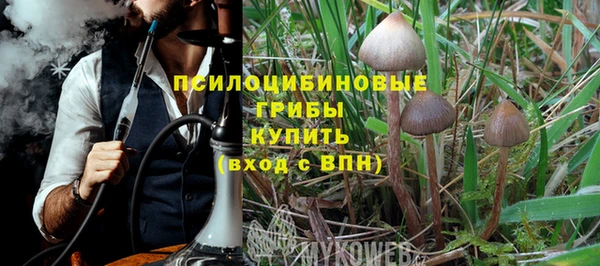 соль ск Козловка