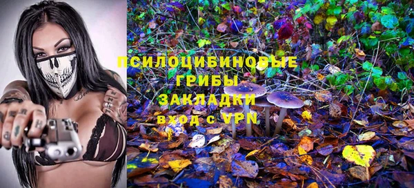 соль ск Козловка