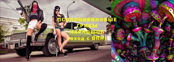соль ск Козловка